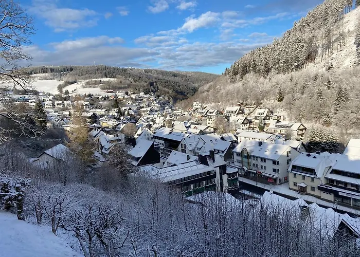 Muehlenberg * Willingen (Upland)